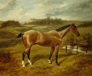 A Strawberry Roan Hunter in a Landscape