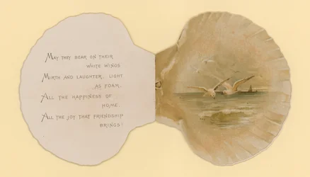 Illustration for Booklet Entitled Sea Shells