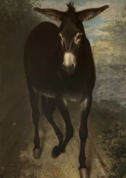 A Sicilian Ass