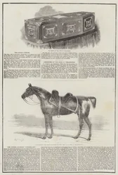 Duke of Wellington