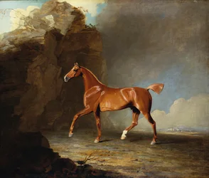 A Golden Chestnut Racehorse by a Rock Formation