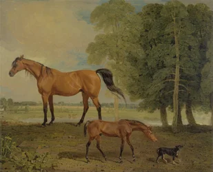 Broodmare with Foal and Terrier