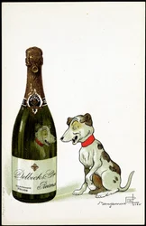 Cardboard for Champagne 