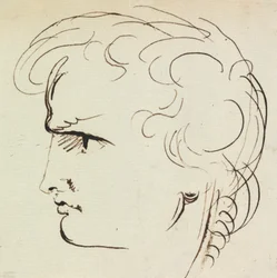 Portrait Study of a Young Man