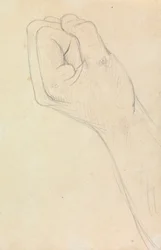 Study of a Hand, Balled into a Fist
