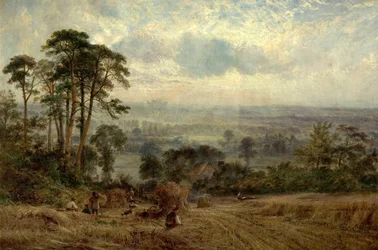 Cornfields, Wollaton Hall, Nottingham