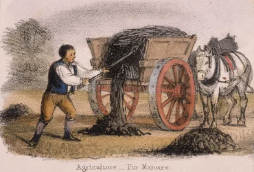 Agriculture, for Manure, c1845