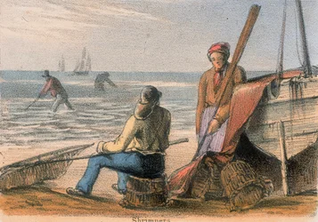 Shrimpers