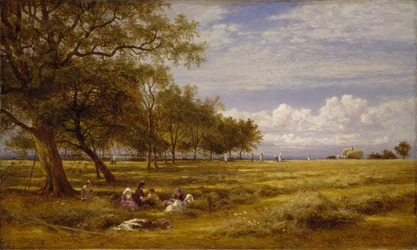 An English Hayfield, 1878