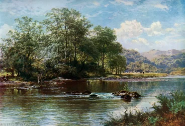 The Stream in Summer Time