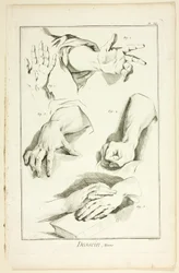 Design: Hands, from Encyclopédie