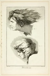 Design: Heads, from Encyclopédie