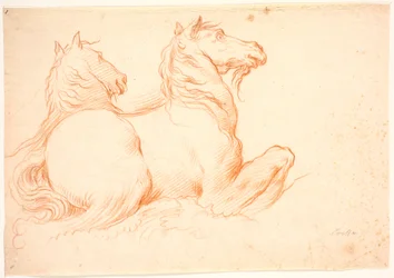 Two Sea Horses