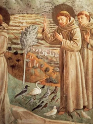 Stories from life of St Francis, preaching to birds