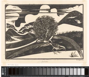 Two Pheasants in a Hilly Landscape