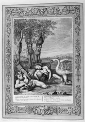Cygnus Changed into a Swan (engraving)
