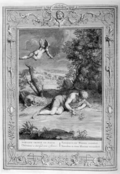 Narcissus in Love with His Own Reflection, 1733