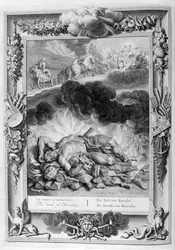 The Death of Hercules