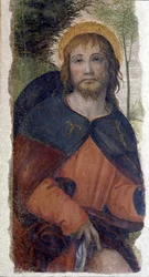 Representation of Saint Rocco (Roch). Fresco of the school of Bernardino de Scapis known as Bernardino Luini (1485-1532). 16th century
