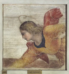 Angel