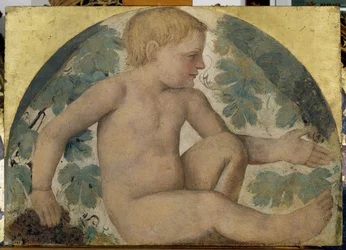 Harvesting Putti - Putto under a Pergola, c.1514