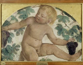 Harvesting Putti - Putto under a Pergola, c.1514
