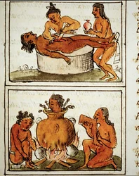 Human sacrifice and cannibalism of the Aztecs. Manuscript by Bernardino Sahagun