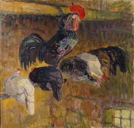 Morning in the Hen House