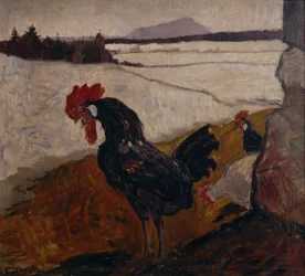 Rooster