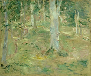 Forest of Compiègne