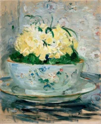 Daffodils