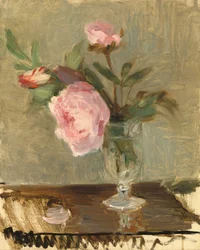 Peonies