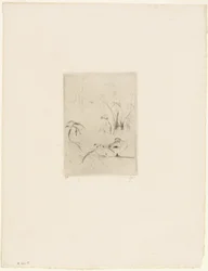 The Duck