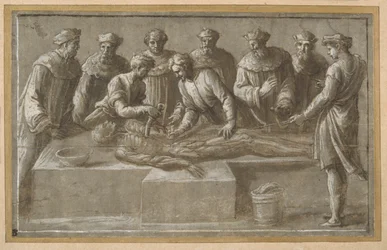 Six professors of anatomy, dissecting a flayed male corpse