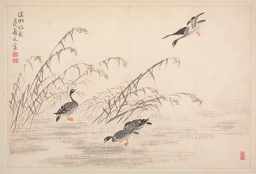 Album of Calligraphy and Paintings