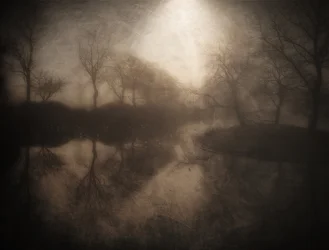 Misty Forest Reflection