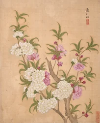 Album of Flowers