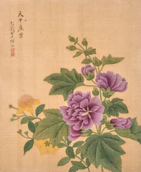 Album of Flowers