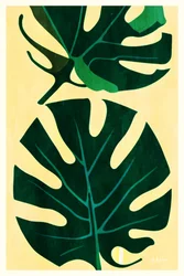 Tropical Monstera Leaves