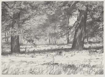Two Maples