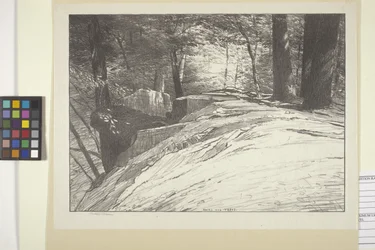 Rocks And Trees