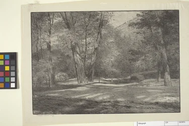 Sierra Woods