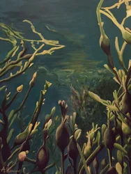 Underwater Kelp Forest