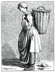 Oysters in the shell!