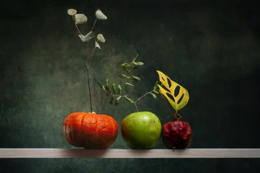 Autumn Fruit Arrangement