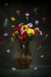 Floating Vibrant Blooms