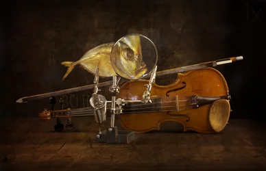 Magnified Fish and Violin