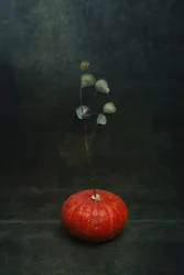 Moody Pumpkin Eucalyptus