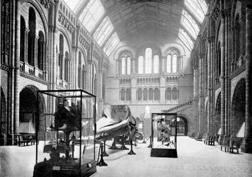 Entrance Hall of the Natural History Museum, South Kensington, London, 1890