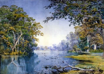A Wooded River